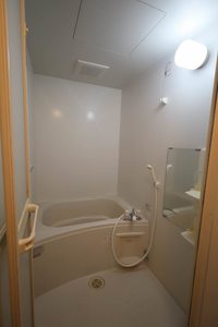 ＢｌｉｓｓⅠ 202号-13