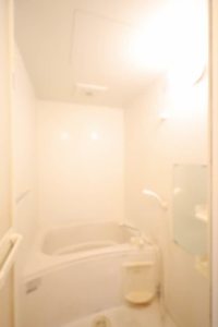 ＢｌｉｓｓⅠ 203号-9