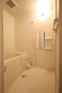 ＢｌｉｓｓⅡ 202号-9