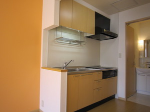 Ｓｎｏｗｄｒｏｐ 101号-2