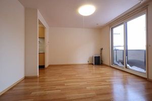 シャーメゾン・リジェール 101号-2