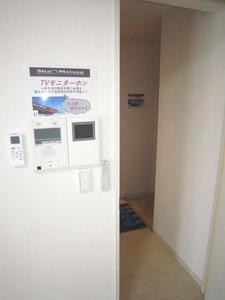 Couleur Court Yamahana 302号-8