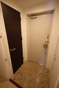 マストライフ南4条 408号-11