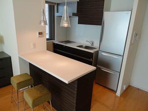 プライムメゾン大通公園　家具付住戸 510号-5