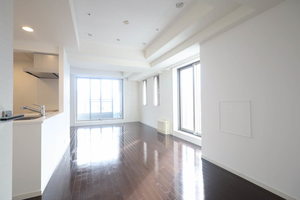 プライムメゾン大通公園　一般住戸 1206号-4