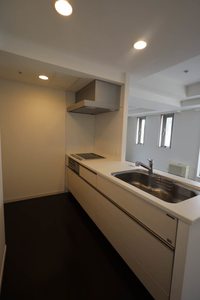 プライムメゾン大通公園　一般住戸 1206号-5