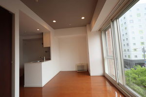 プライムメゾン南2条 409号-2