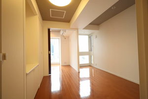 プライムメゾン南2条 409号-11