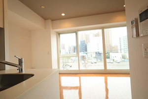 プライムメゾン南2条 409号-13