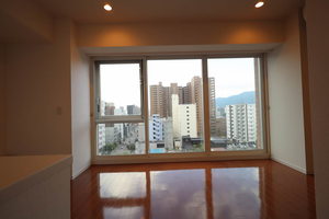 プライムメゾン南2条 909号-12