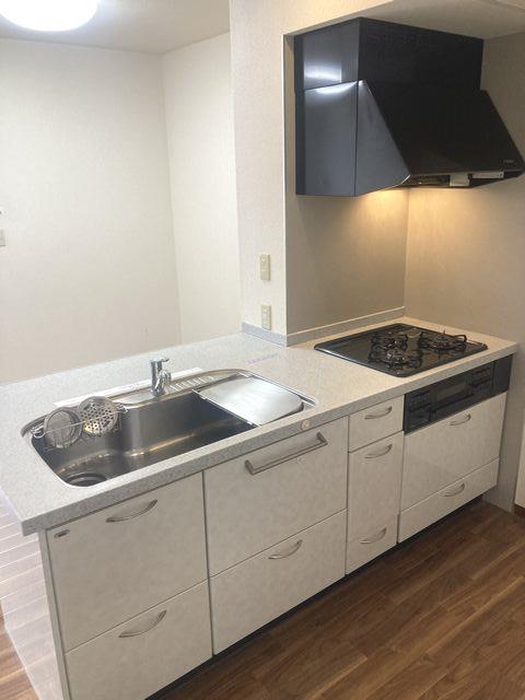 ＰＯＬＡＲＩＳ　Ｌ 102号-9