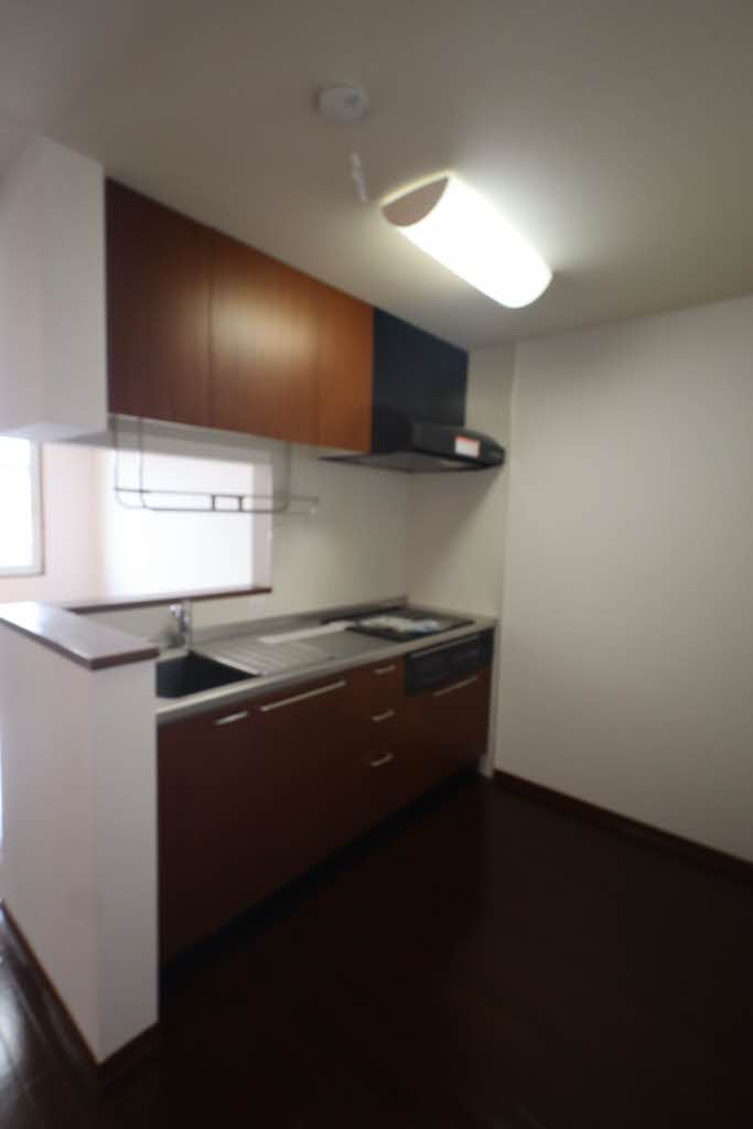 ＢｌｉｓｓⅠ 202号-11