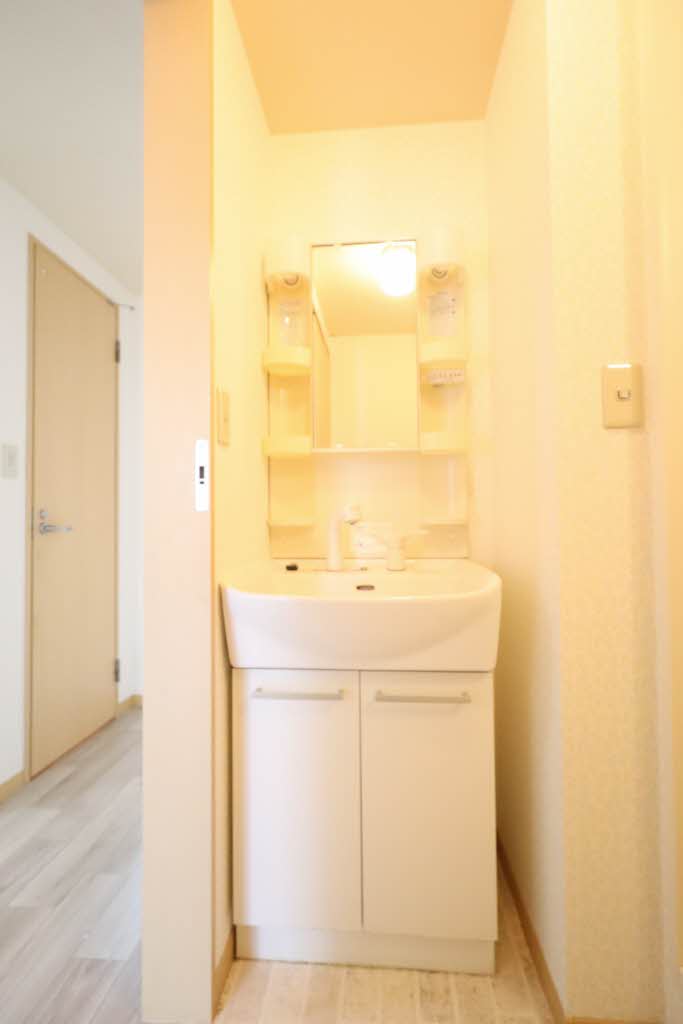 ＢｌｉｓｓⅠ 203号-8