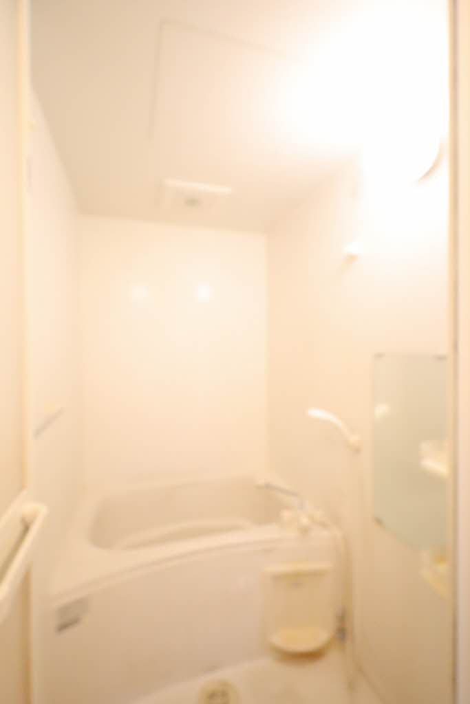 ＢｌｉｓｓⅠ 203号-9