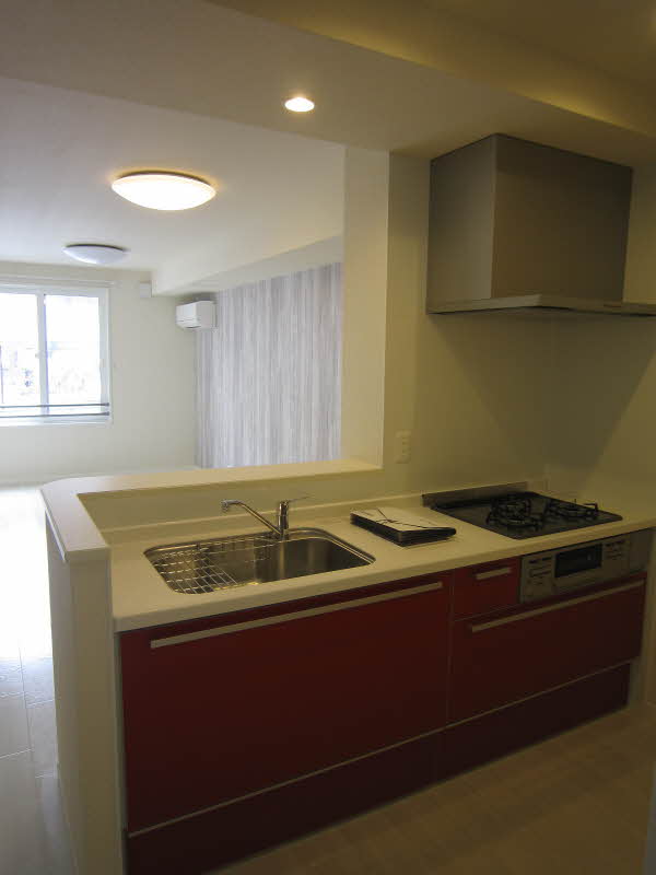 ＳｈａＭａｉｓｏｎ　ｗｅａｌｔｈ 203号-4