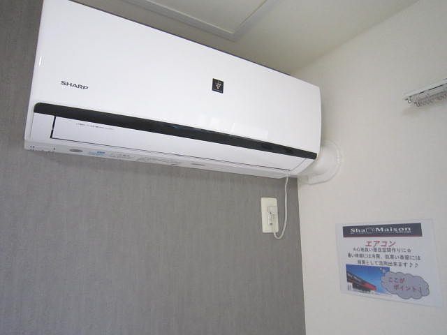 Couleur Court Yamahana 302号-4