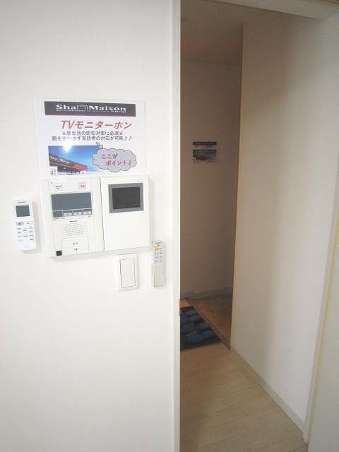 Couleur Court Yamahana 302号-8