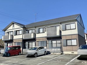 サンフラワー 0201号-1