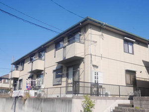 ルミエールミキ