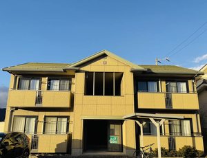 バリュージュＭＡＹ