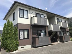 ディアスミナミ