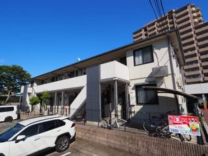 アムール　エヌ