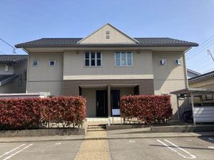 アンジェリークＫ 0102号-1