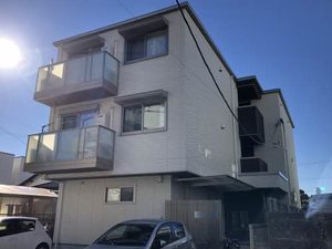 パインテール・セコンド 0202号-1