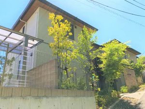 ＤｏｕｂｌｅＴｒｅｅ　城山