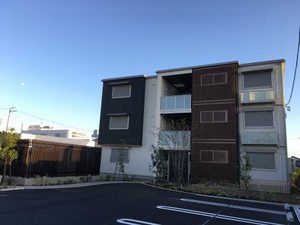 cosmo grande 0203号-3