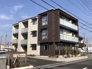 ルピナス　セカンド