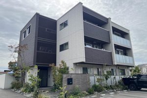 Ａｍａｐｏｌａ（アマポーラ） 0205号-1