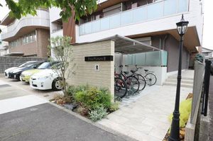 ピーノ　ピアヌーラ　ドゥーエ 0103号-2