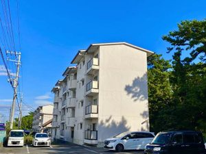 グランメール千本 C303号-1