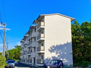 グランメール千本 D206号-1