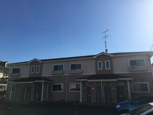 ビースティコート・Ｓ 0202号-1