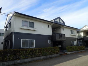 モンアミ B102号-1