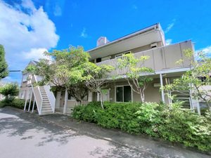 ＳＳコーポ　ＶＥＬＡ C103号-1