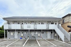 フレグランスアップル N201号-1