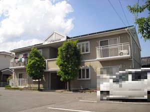 フレグランスグリーン