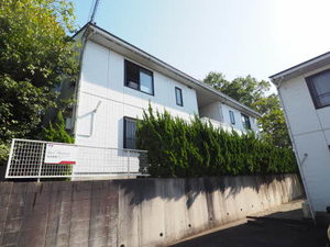 アベニューナオコ A102号-1