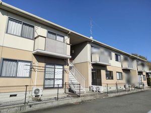 グリーンプラーサ 0203号-1