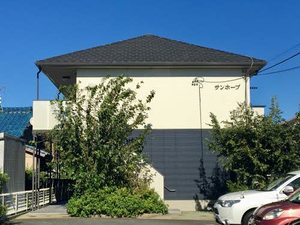 サンホープ 0203号-1