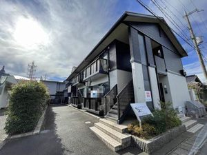 ディアスカメリア 0202号-1