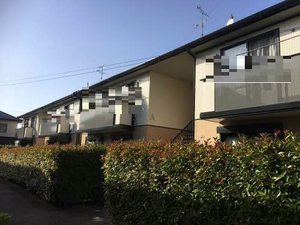 ＭａｓｔＴｏｗｎ茜