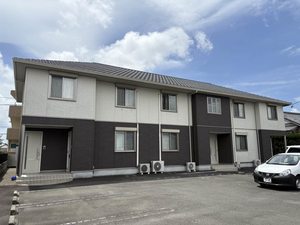 ネクスト杉の井