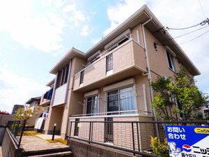 Ｍａｉｓｏｎ　ｄｅ　ｏｌｉｖｅ