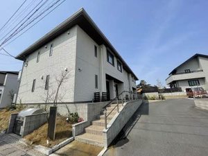 グレイスコート