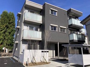 アリビオ今朝白