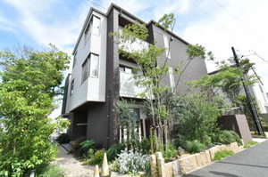 Ｐｅｔｉｔｅ　ｆｏｒｅｔ